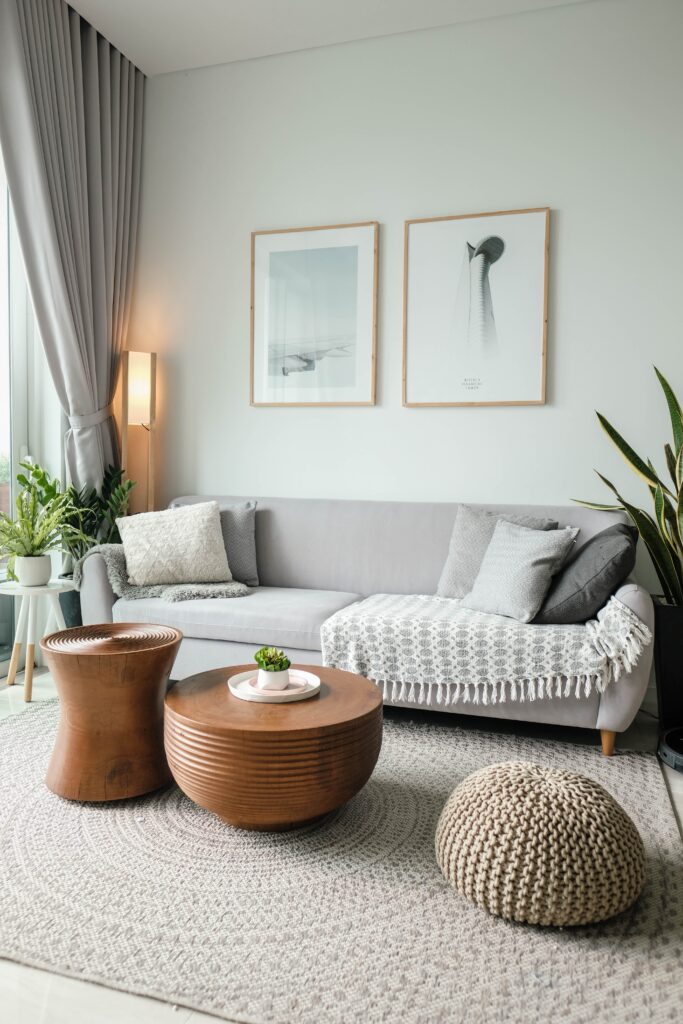 Séjour minimaliste avec des meubles remarquables et nécessaires donnant du charme à la pièce